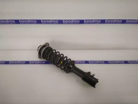 Alto front shock on sale absorber price