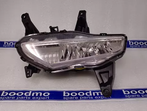 Hyundai xcent deals fog lamp cover