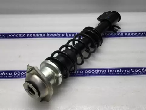 STRUT SET FR SUSP RH: MARUTI SUZUKI 41069M84371 -compatibility