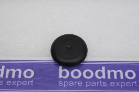 SEALING PLUG FOR 30 MM DIA HOLE: MAHINDRA 0107FAW00141N