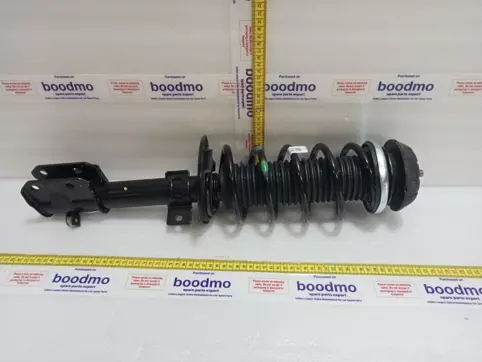 リオン Front Suspension Strut Assembly Left: MONROE M2N3G7495