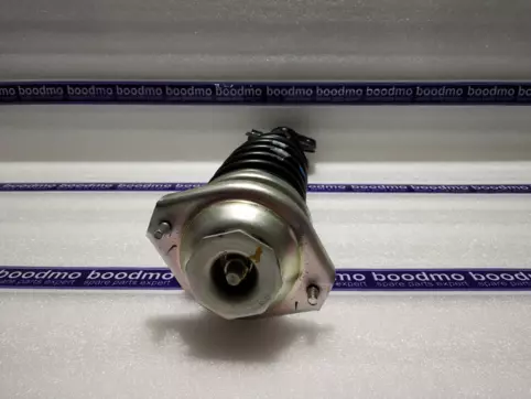 Front Suspension Strut Assembly Left/Right: GABRIEL AM-4000052